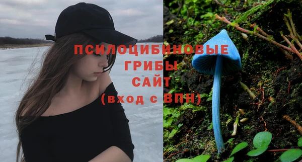 прущая мука Горняк