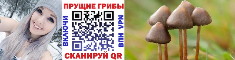 kraken как войти  Брянск  Галлюциногенные грибы мухоморы  где купить наркоту 